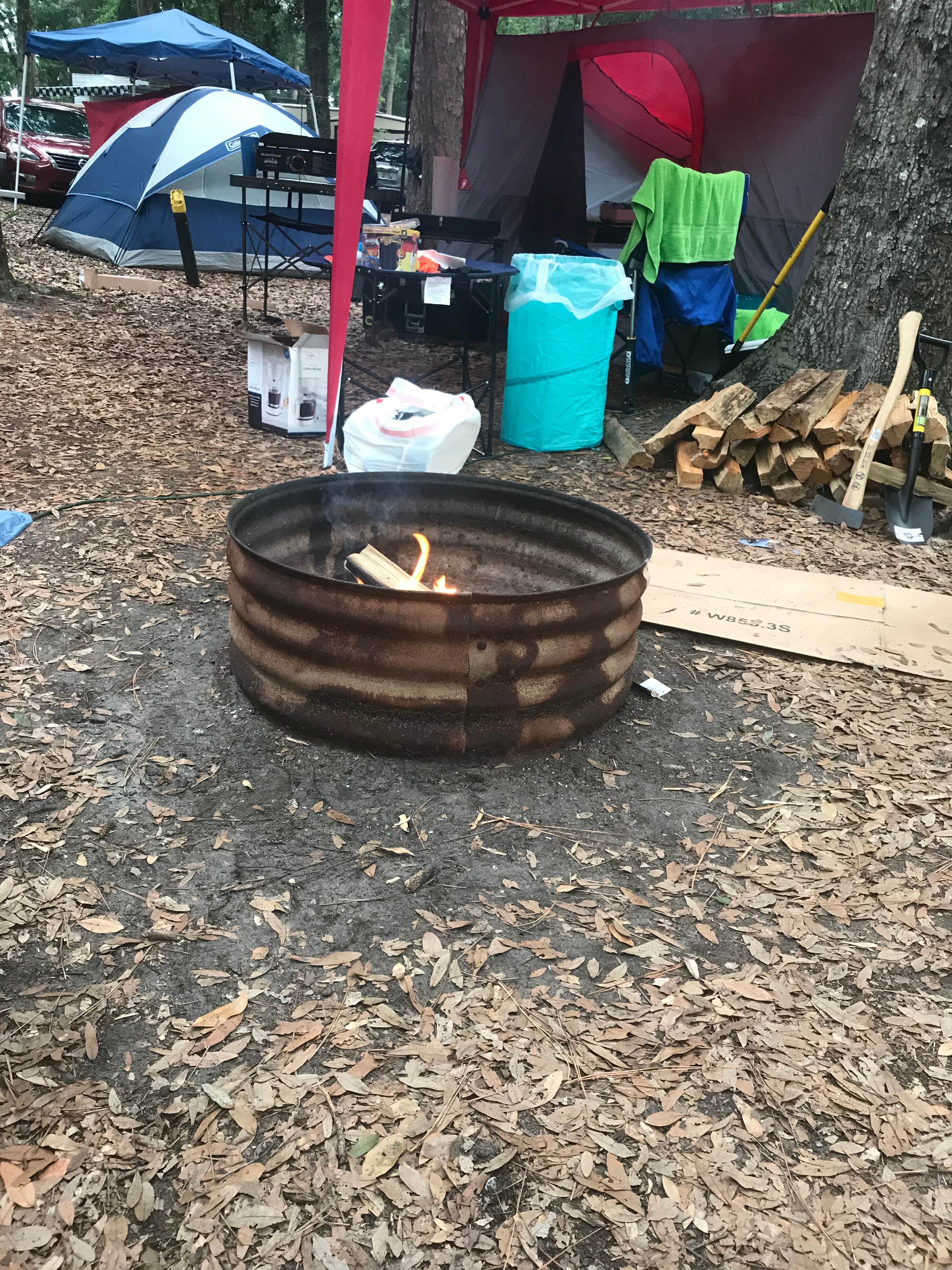 Camper submitted image from Jekyll Island Campground - 4