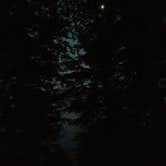 Review photo of Paradox Lake Campground by Matthew L., September 1, 2016