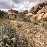 Review photo of Jumbo Rocks Campground — Joshua Tree National Park by Justin B., June 12, 2019