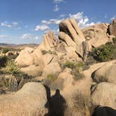 Review photo of Jumbo Rocks Campground — Joshua Tree National Park by Justin B., June 12, 2019