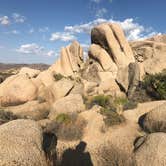 Review photo of Jumbo Rocks Campground — Joshua Tree National Park by Justin B., June 12, 2019