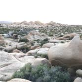 Review photo of Jumbo Rocks Campground — Joshua Tree National Park by Justin B., June 12, 2019