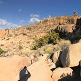 Review photo of Jumbo Rocks Campground — Joshua Tree National Park by Justin B., June 12, 2019