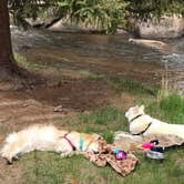 Review photo of Spruce Grove Campground by Ryan T., June 12, 2019