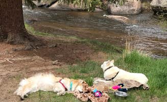Ryan T.'s photo of camping with pets at Spruce Grove Campground near Hartsel, CO