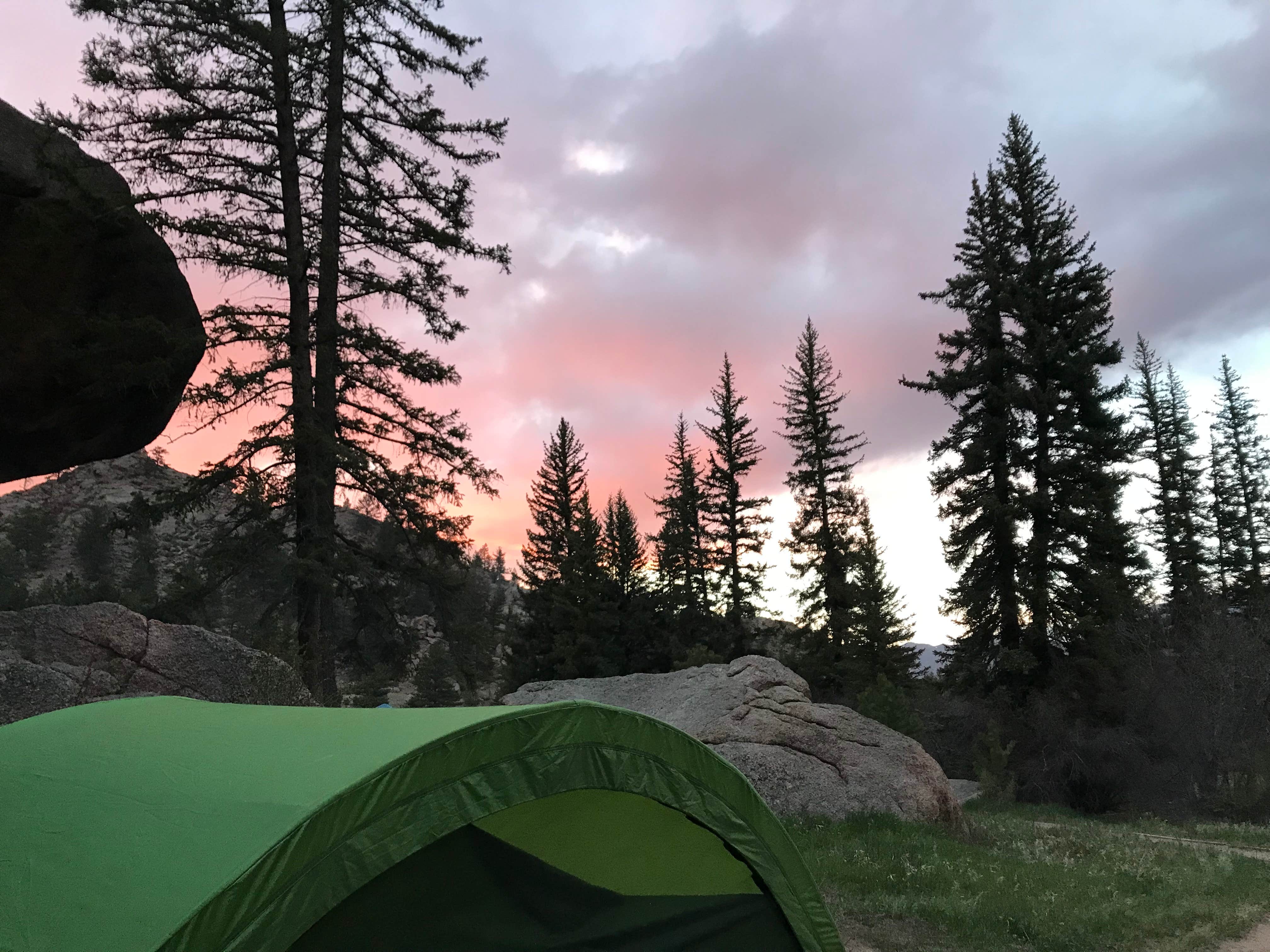 Camper submitted image from Spruce Grove Campground - 2
