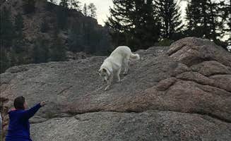 Ryan T.'s photo of camping with pets at Spruce Grove Campground near Hartsel, CO