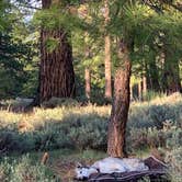 Review photo of Stampede Reservoir - Water Recreation by Jon K., June 12, 2019