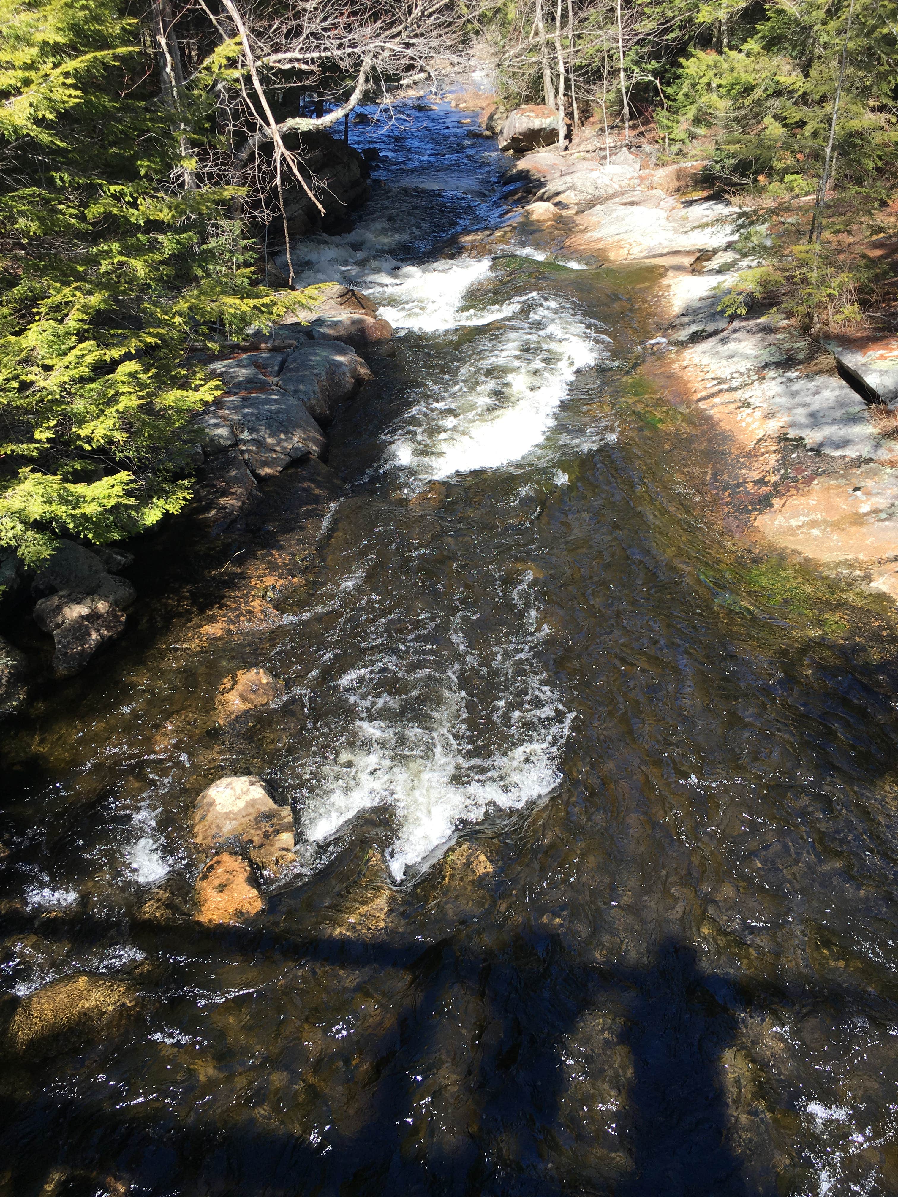 Camper submitted image from Paradox Lake Campground - 3