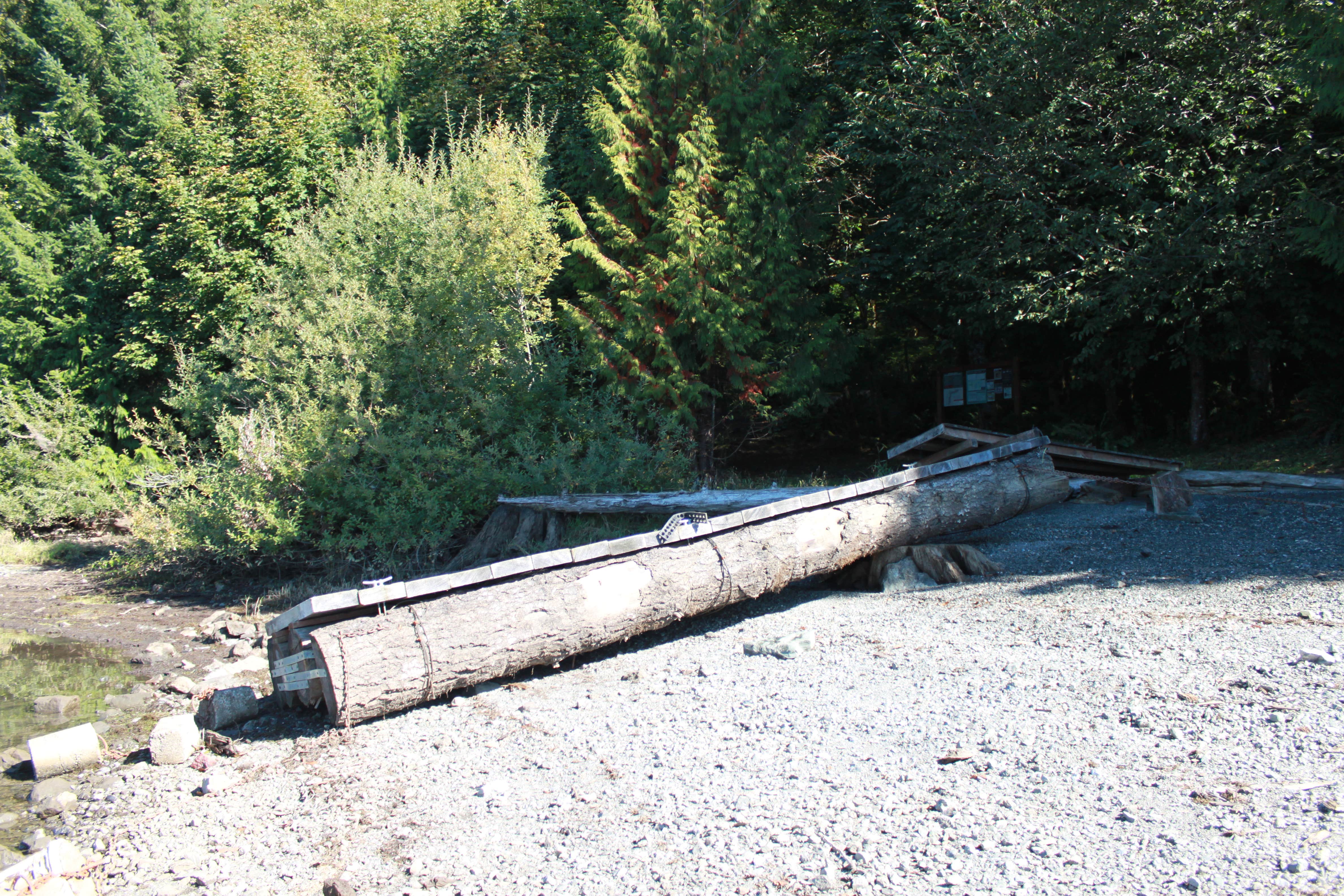 Camper submitted image from Maple Grove Campsites - 2