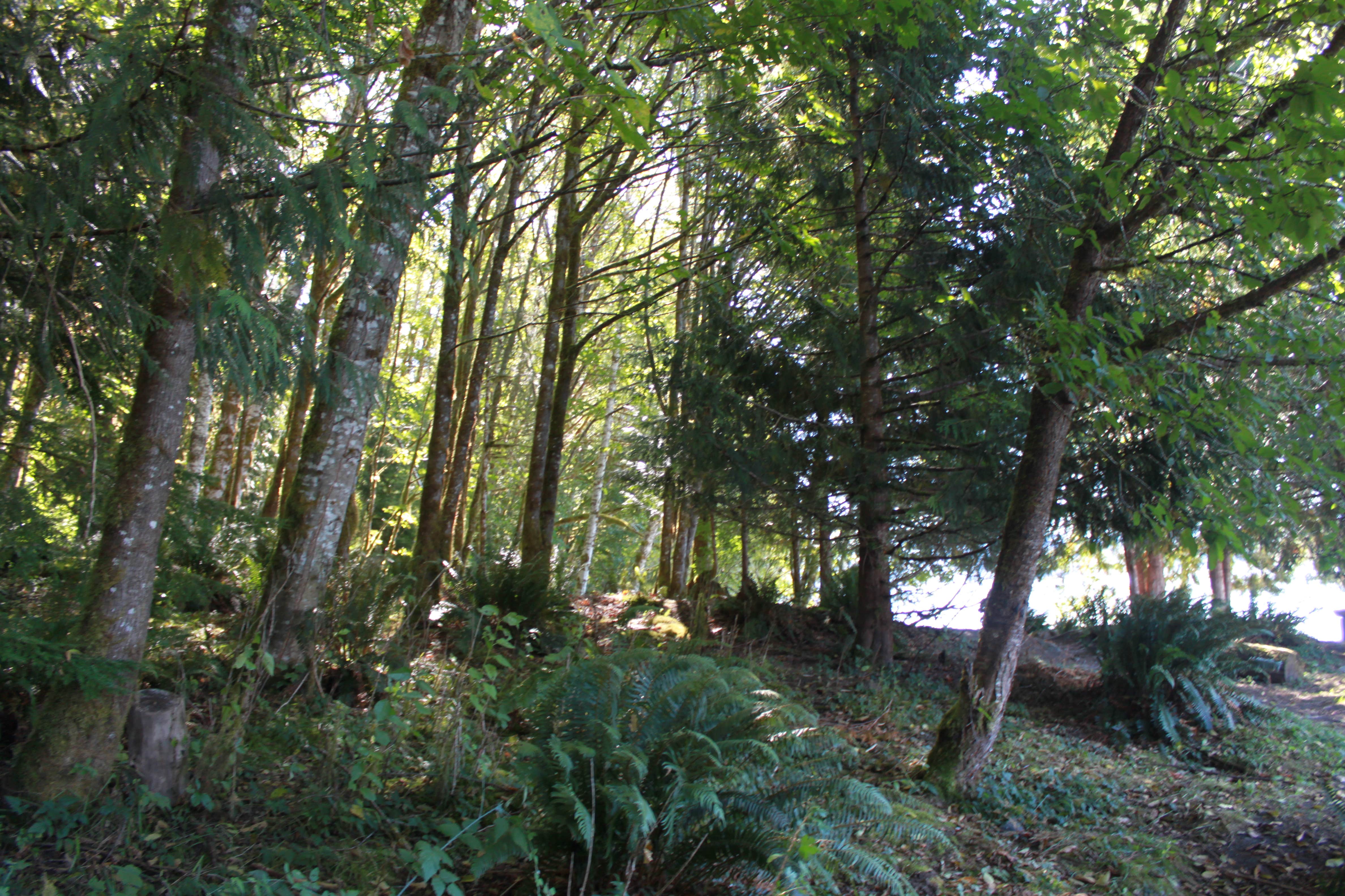 We stayed in the site closest to the lake - site number?