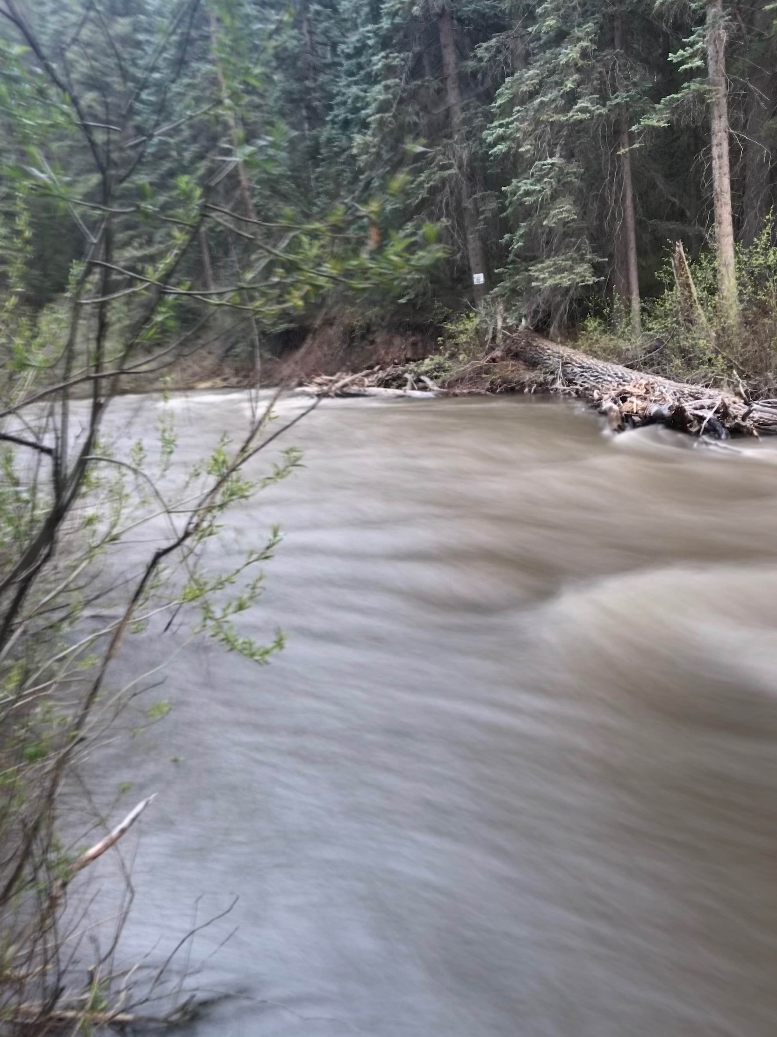 Camper submitted image from Mavreeso Campground - 5