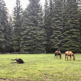 Review photo of Mavreeso Campground by Ben G., June 12, 2019
