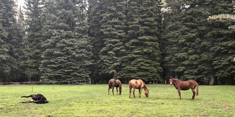 Camper submitted image from Mavreeso Campground