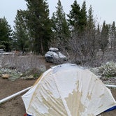 Review photo of Jenny Lake Campground — Grand Teton National Park by Tom C., June 12, 2019