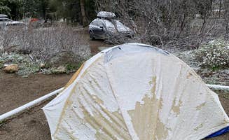 Tom C.'s photo of tent camping at Jenny Lake Campground — Grand Teton National Park near Grand Teton National Park