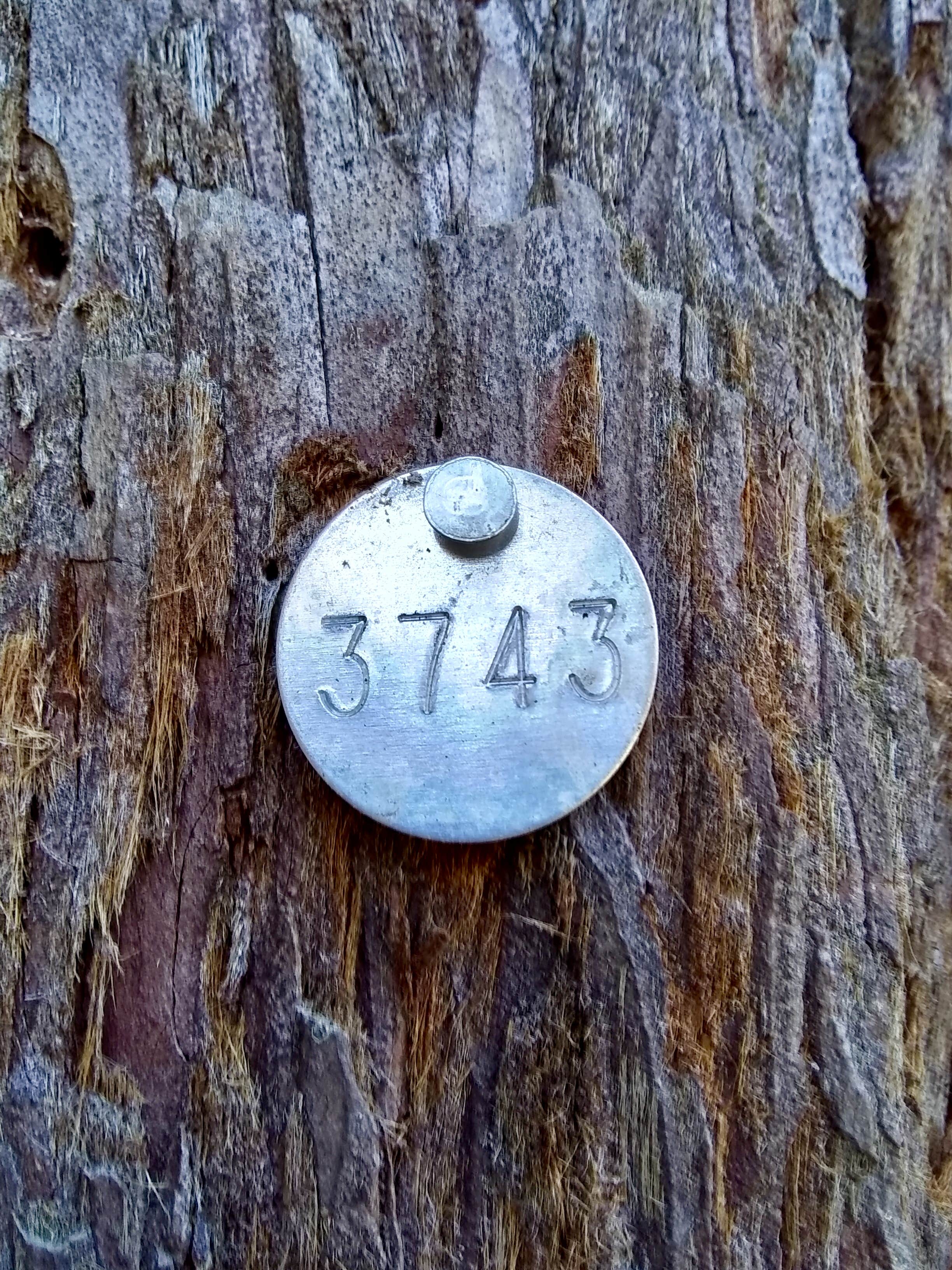 Camper-submitted photo at Mount Madonna County Park near Paicines, CA