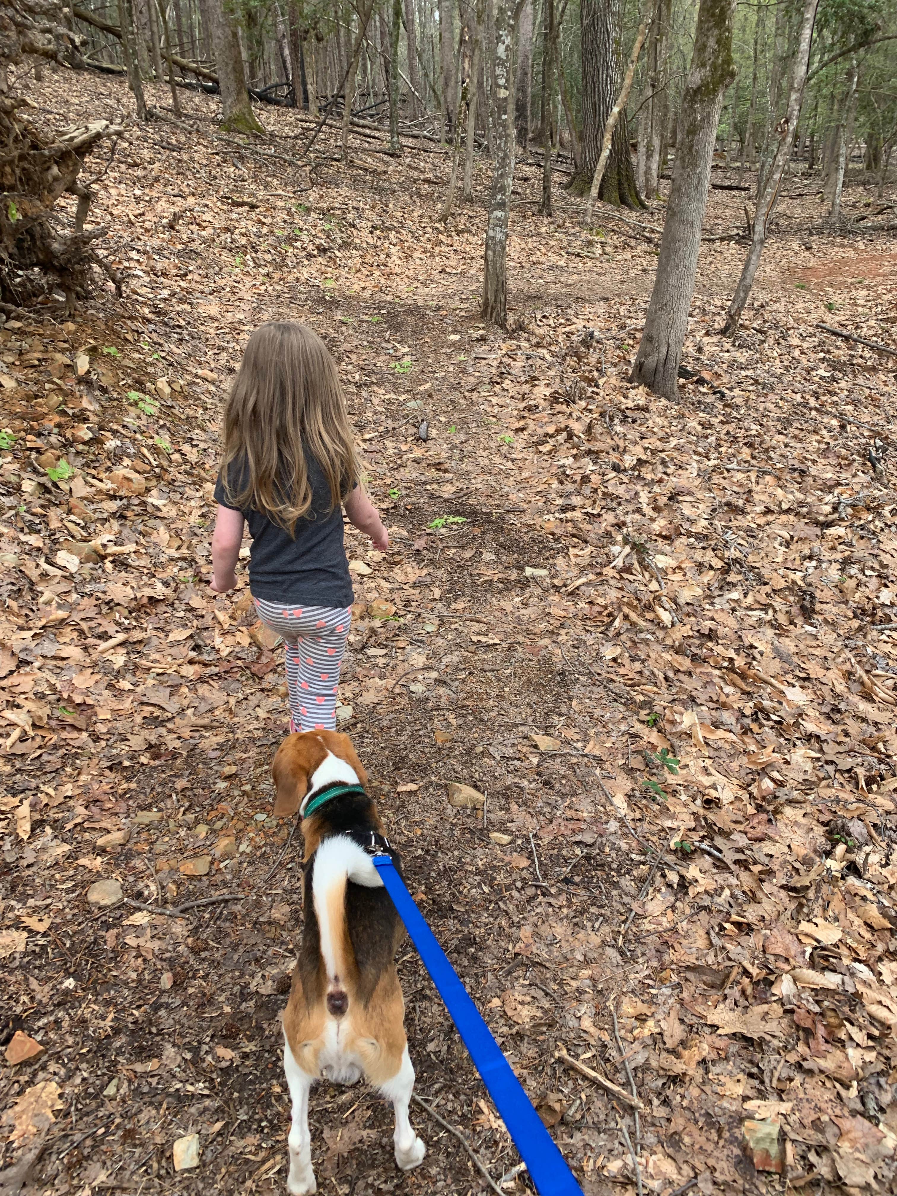 Jen P.'s photo of camping with pets at Morrow Mountain State Park Campground near Ramseur, NC