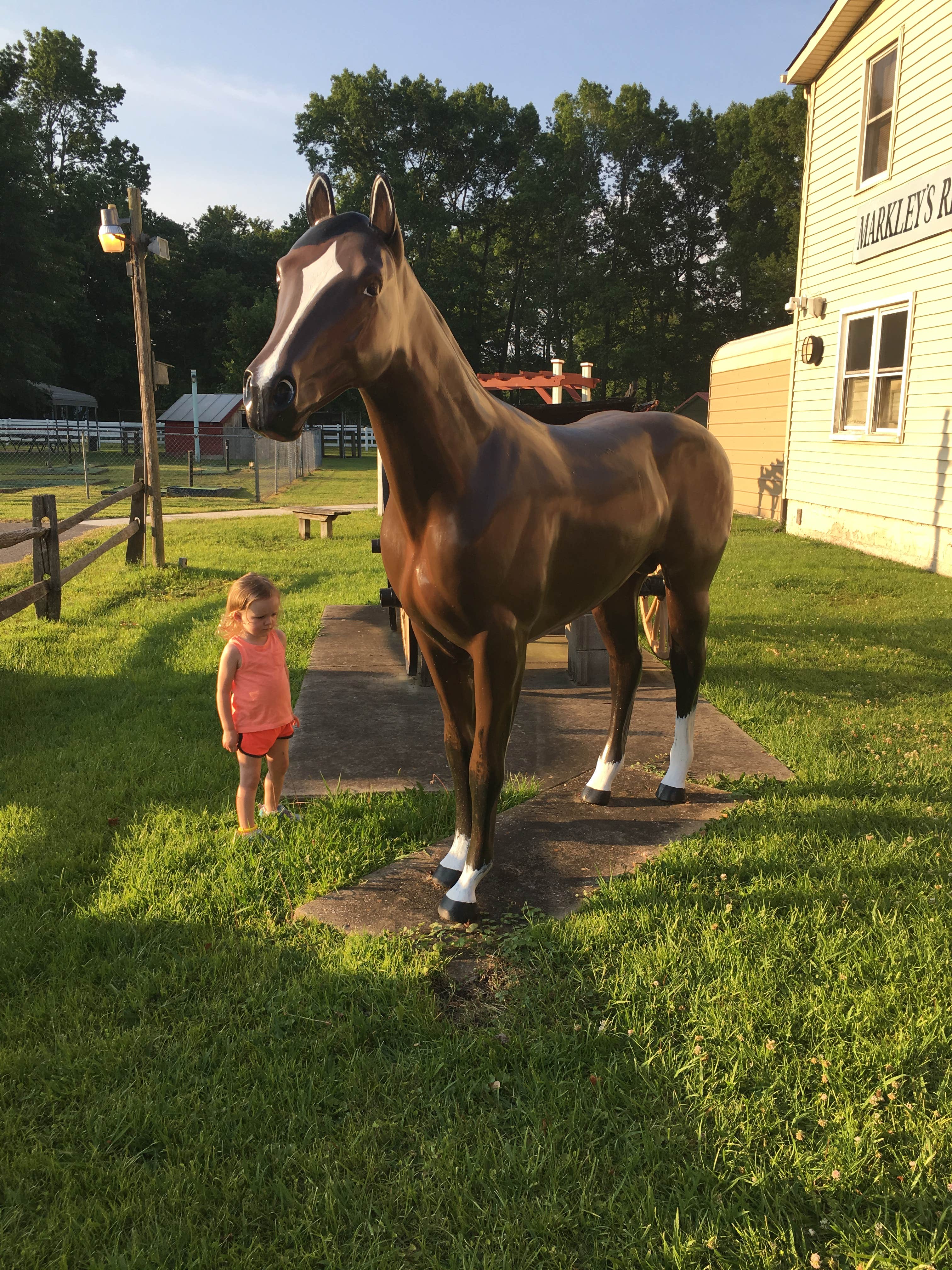 Camper-submitted photo at Chesapeake Campground near Greenwood, VA