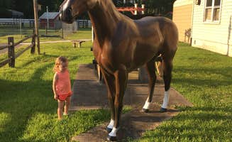 Audriana V.'s photo of camping with a horse at Chesapeake Campground near White Oak, NC