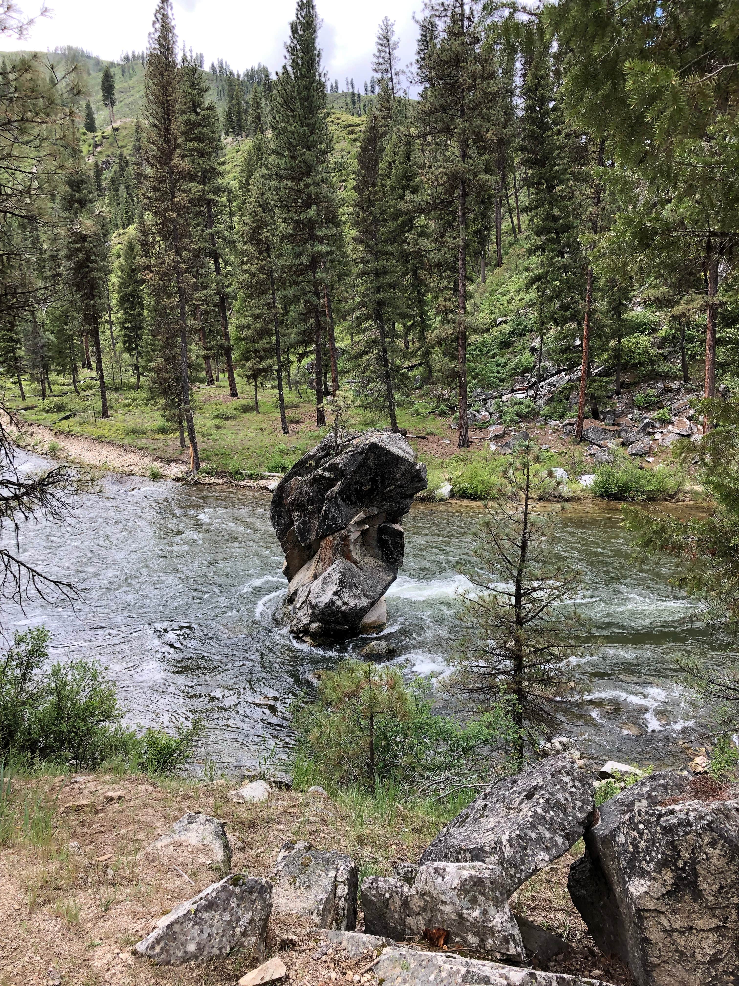 Nature