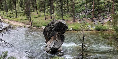 Nature