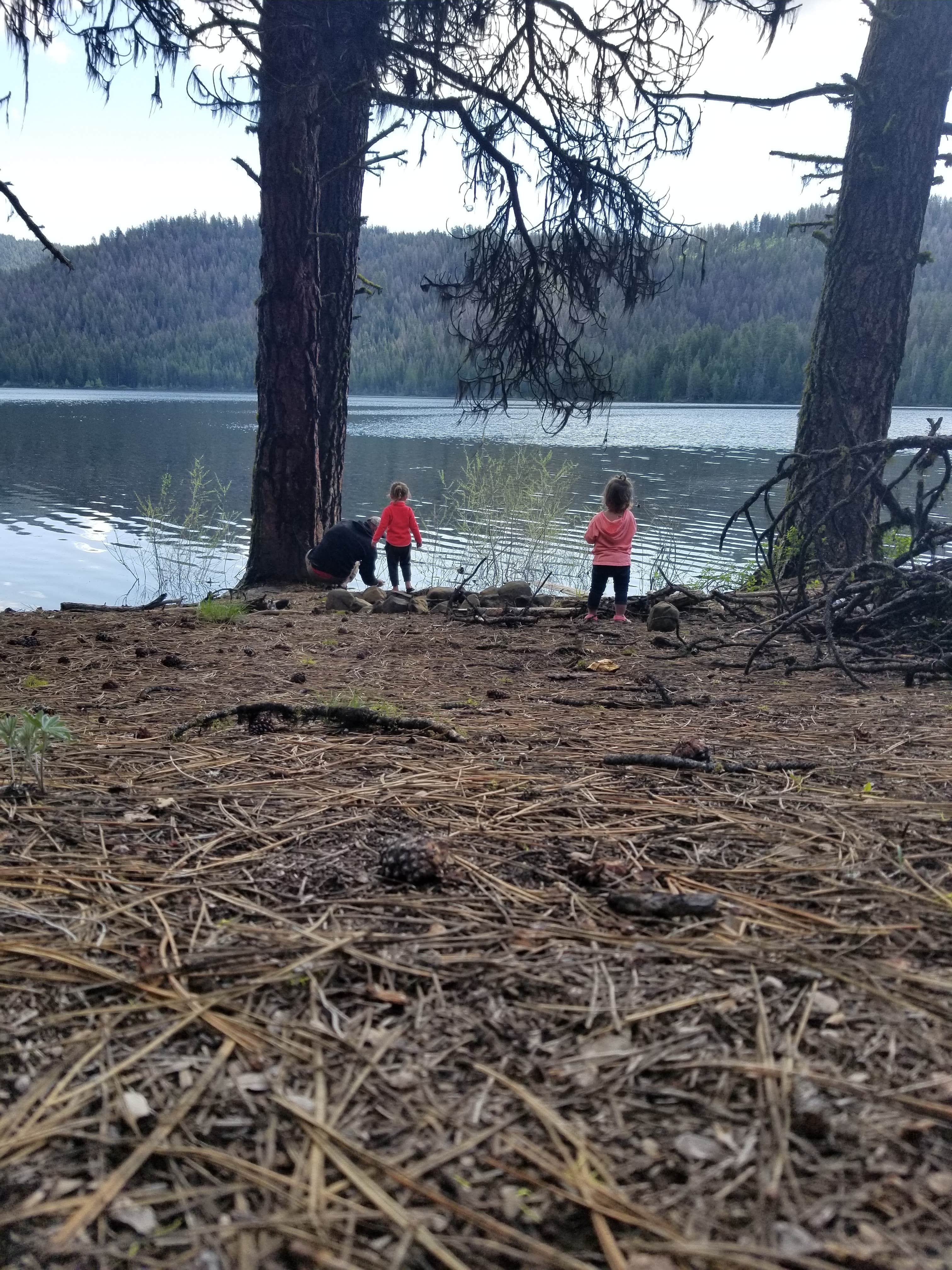 Will R.'s photo at Antelope (boise National Forest, Id) near Cascade, ID