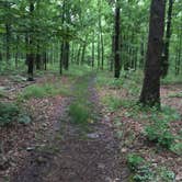 Review photo of Eagles Point — Tenkiller State Park by Chad K., September 1, 2016