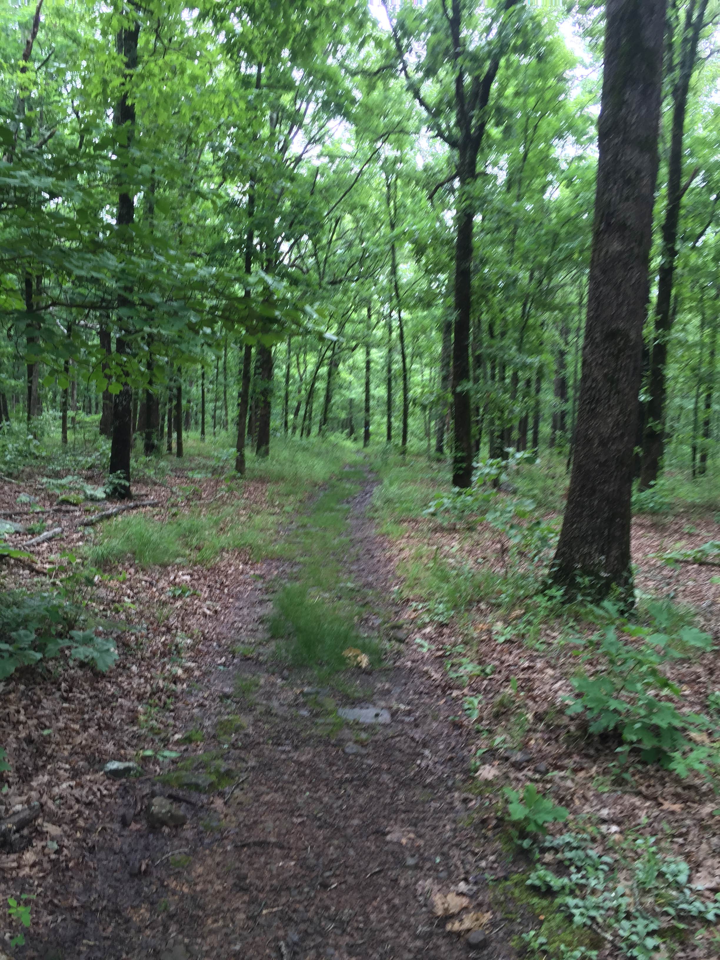 Camper submitted image from Eagles Point — Tenkiller State Park - 2