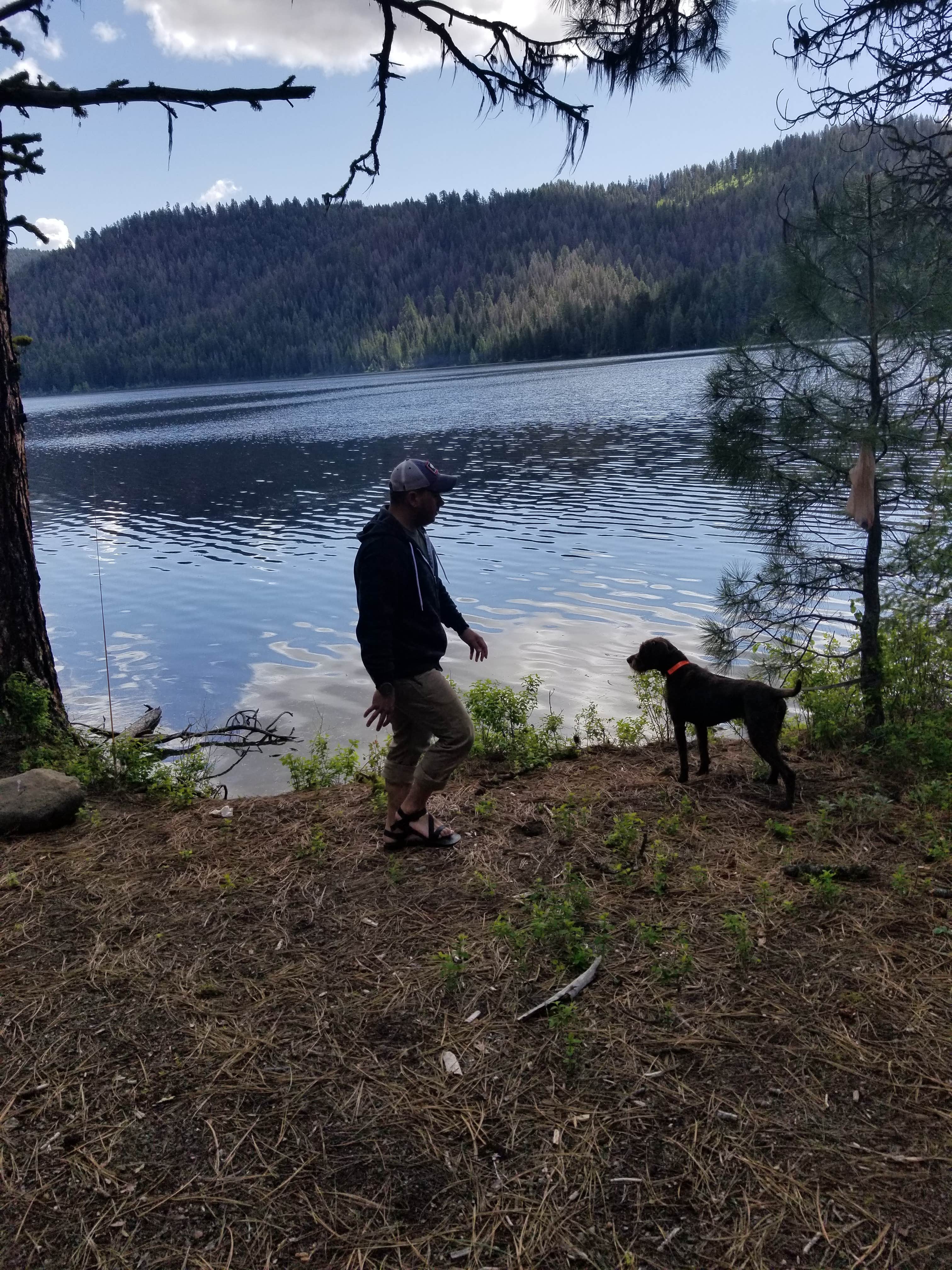 Will R.'s photo of camping with pets at Antelope (boise National Forest, Id) near Garden Valley, ID