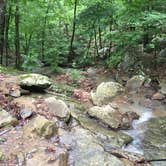 Review photo of Eagles Point — Tenkiller State Park by Chad K., September 1, 2016