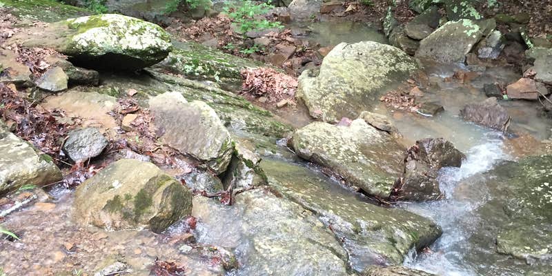 Camper submitted image from Eagles Point — Tenkiller State Park