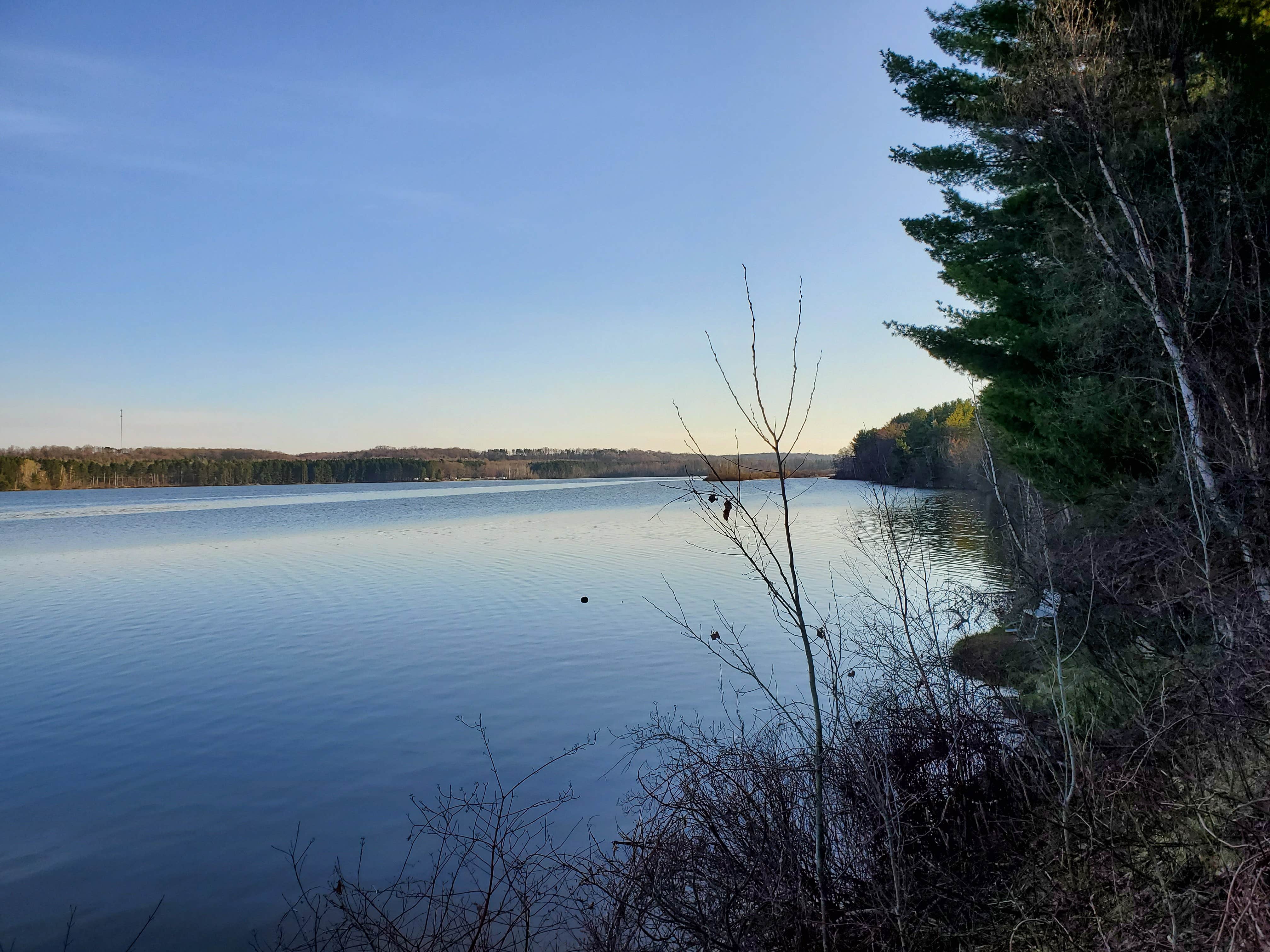 Camper-submitted photo at Pats RV Park near Custer, MI