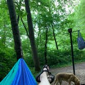 Review photo of Stone Cliff Campground — New River Gorge National Park and Preserve by Hallie W., June 12, 2019