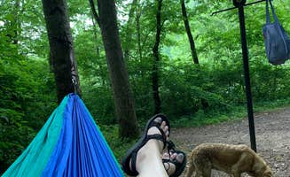 Hallie W.'s photo of camping with pets at Stone Cliff Campground — New River Gorge National Park and Preserve near New River Gorge National River