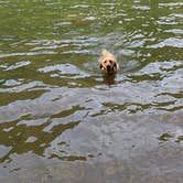 Review photo of Stone Cliff Campground — New River Gorge National Park and Preserve by Hallie W., June 12, 2019