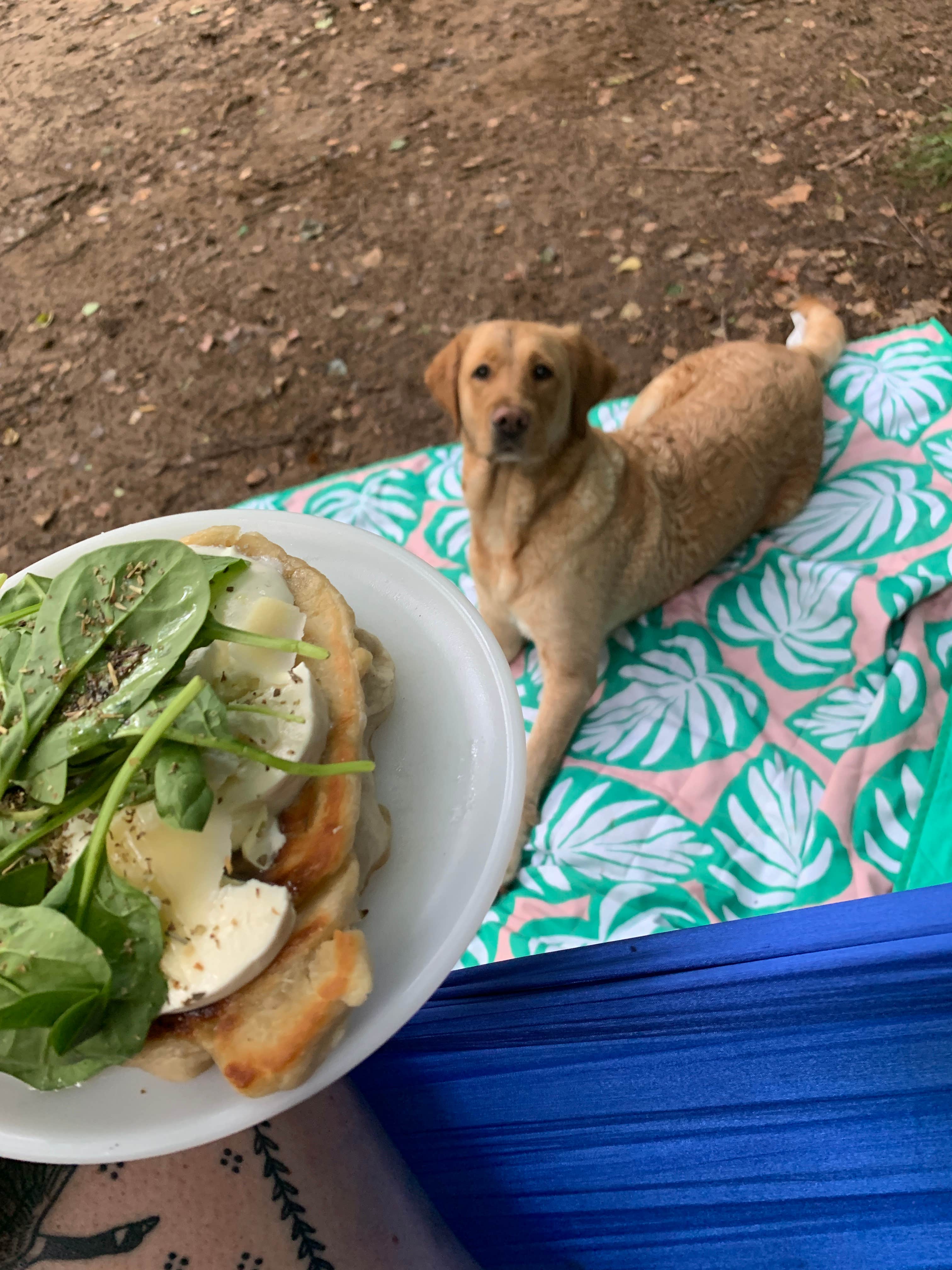 Camper-submitted photo at Stone Cliff Campground — New River Gorge National Park and Preserve near Danese, WV