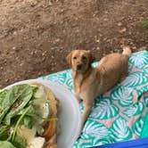 Review photo of Stone Cliff Campground — New River Gorge National Park and Preserve by Hallie W., June 12, 2019