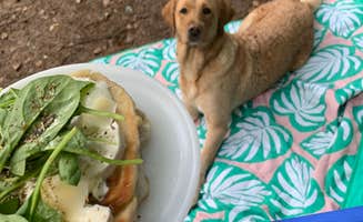Hallie W.'s photo of camping with pets at Stone Cliff Campground — New River Gorge National Park and Preserve near New River Gorge National River