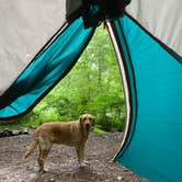 Review photo of Stone Cliff Campground — New River Gorge National Park and Preserve by Hallie W., June 12, 2019