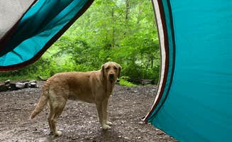 Hallie W.'s photo of tent camping at Stone Cliff Campground — New River Gorge National Park and Preserve near Charleston, WV
