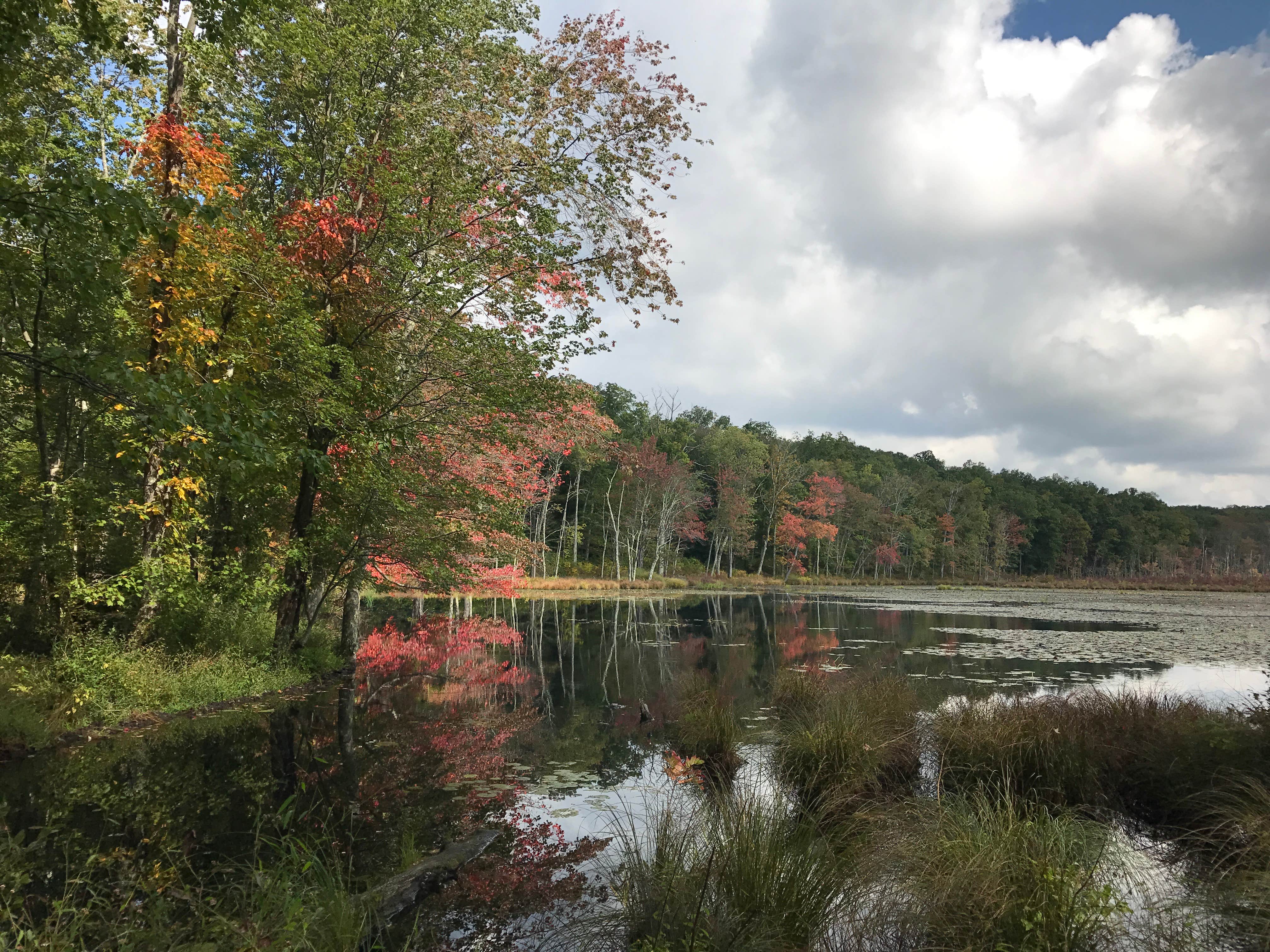 Camper-submitted photo at Shotwell near Newton, NJ