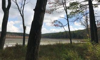 Camping near High Point State Park: Shotwell, Layton, New Jersey