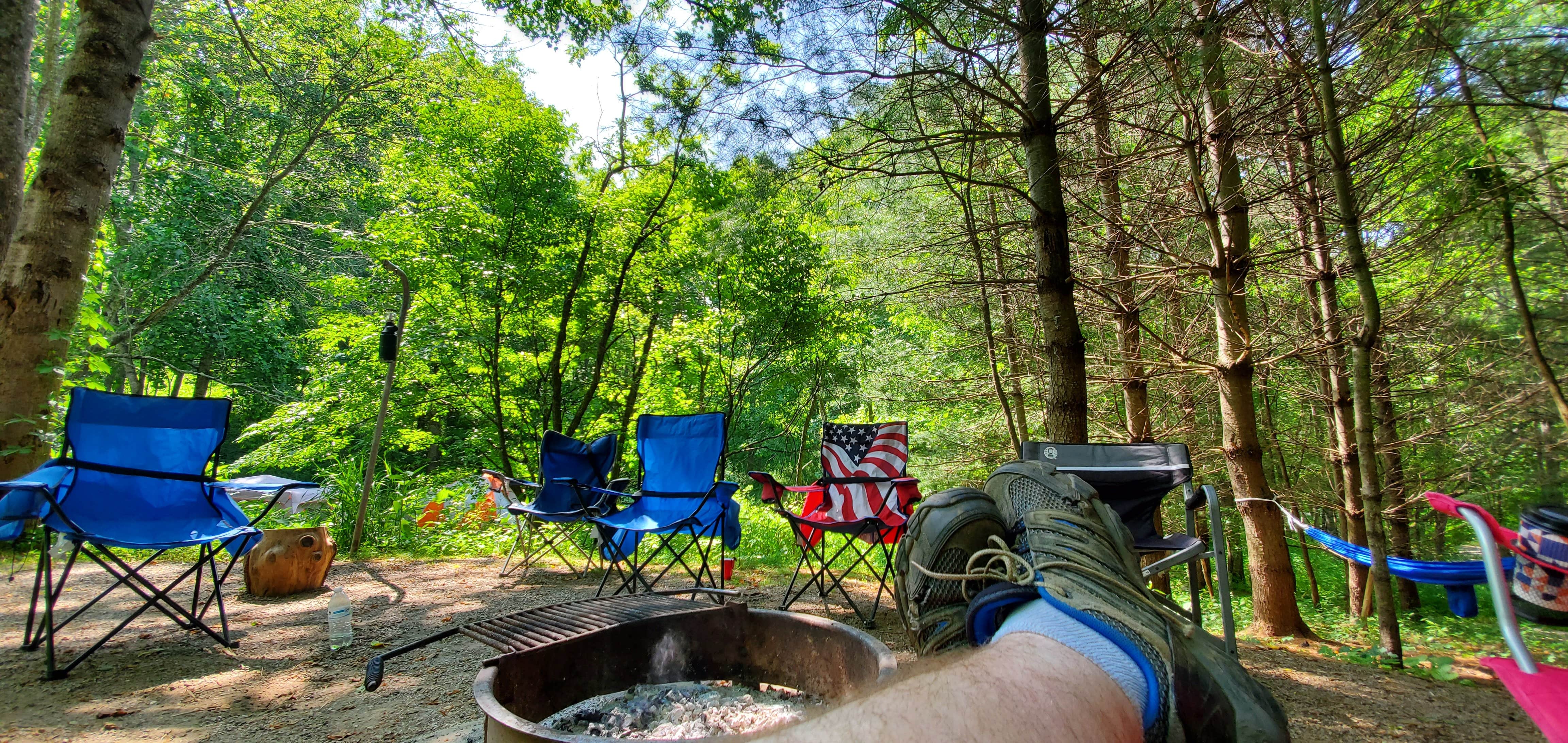 Camper submitted image from New River Canoe and Campground - 2