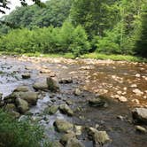 Review photo of Dolly Sods Backcountry by Paul N., June 12, 2019