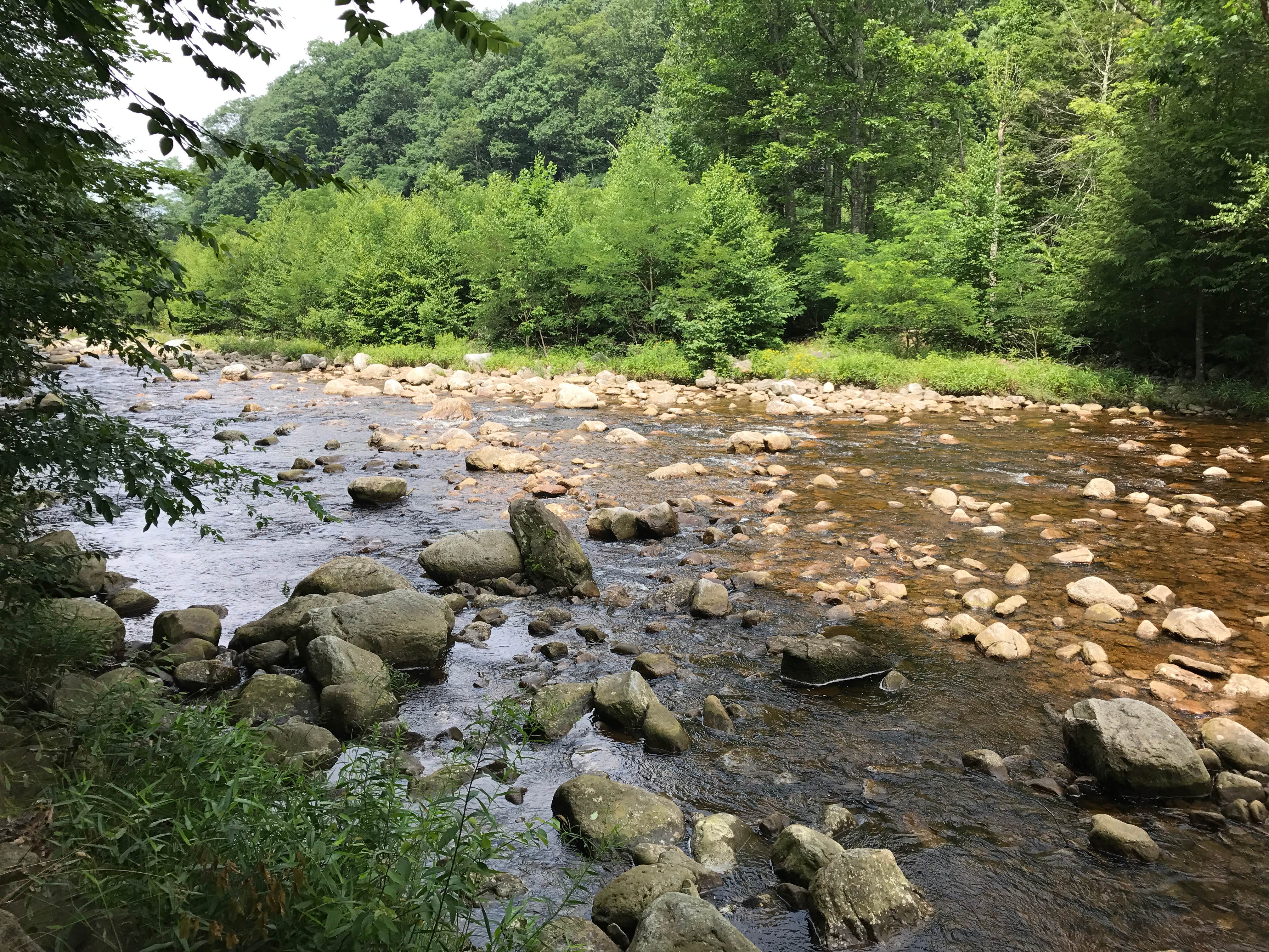 Camper submitted image from Dolly Sods Backcountry - 3