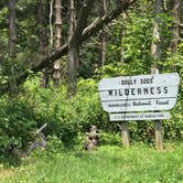 Review photo of Dolly Sods Backcountry by Paul N., June 12, 2019