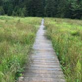 Review photo of Dolly Sods Backcountry by Paul N., June 12, 2019