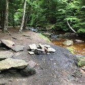 Review photo of Dolly Sods Backcountry by Paul N., June 12, 2019