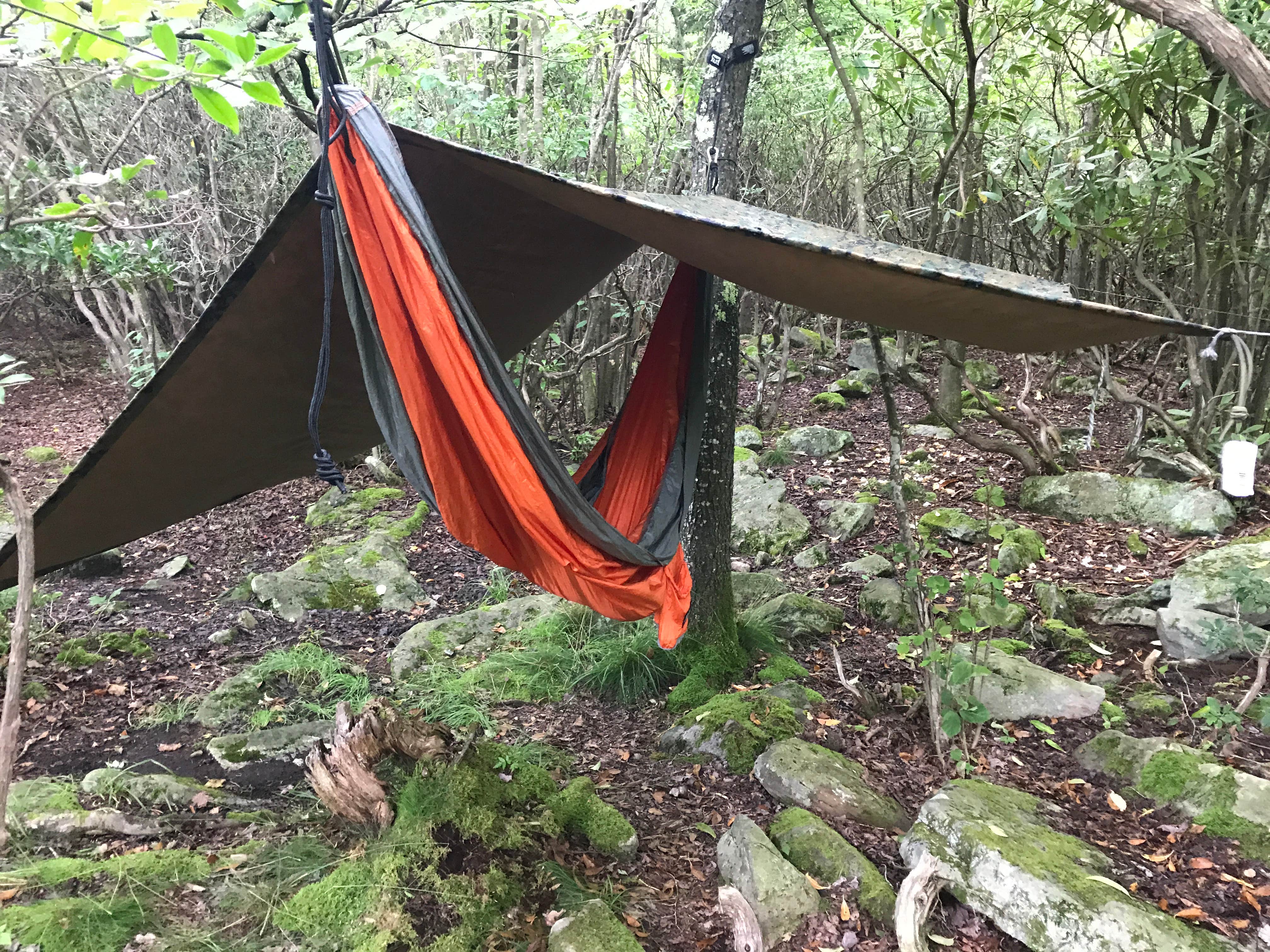 Paul N.'s photo of a dispersed camping area at Dolly Sods Backcountry near Masontown, WV